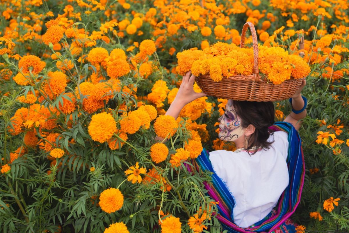 Este Pueblo Mágico de Nuevo León tiene un jardín de cempasúchil que pocos conocen (parece sacado de una película de fantasía)