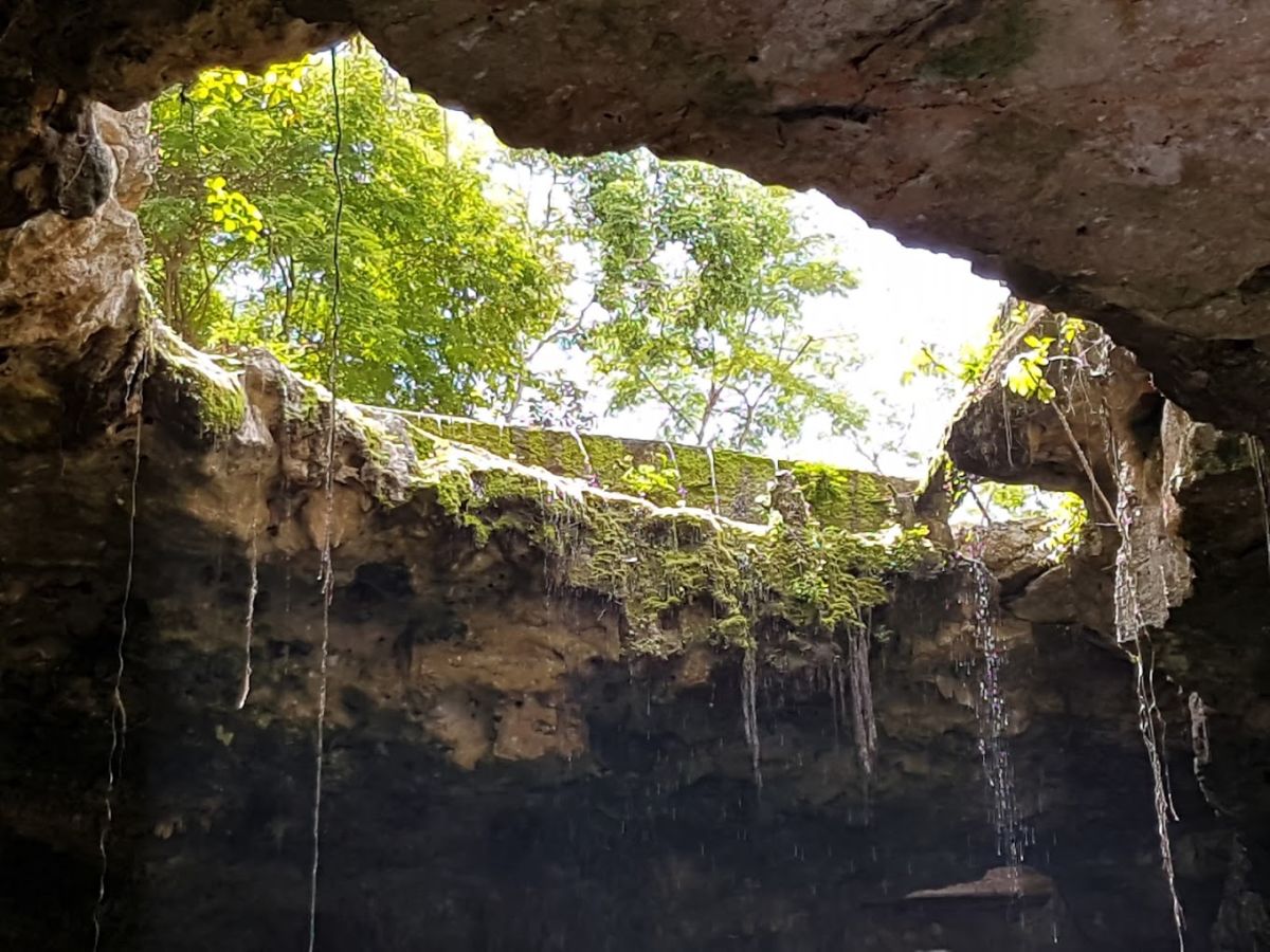 cenotes en Yucatán 