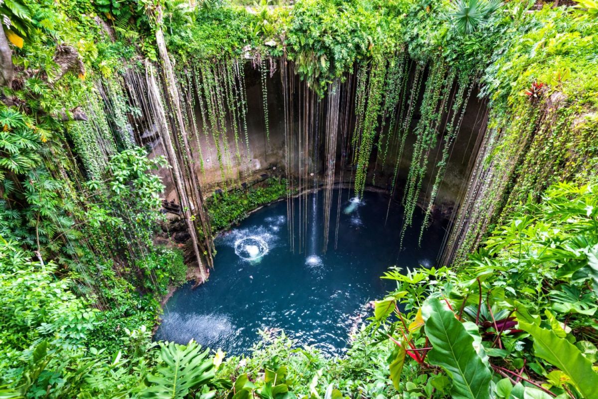 Cenotes bonitos en Yucatán 