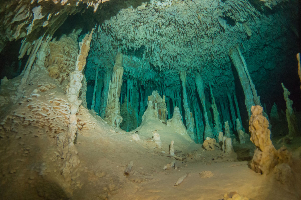 cenotes espectaculares en Yucatán 