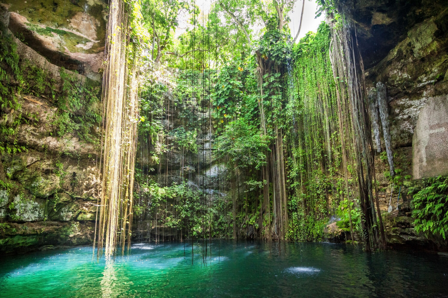 Los cenotes más espectaculares de Yucatán para disfrutar del calor en otoño Los cenotes más espectaculares de Yucatán para disfrutar del calor en otoño