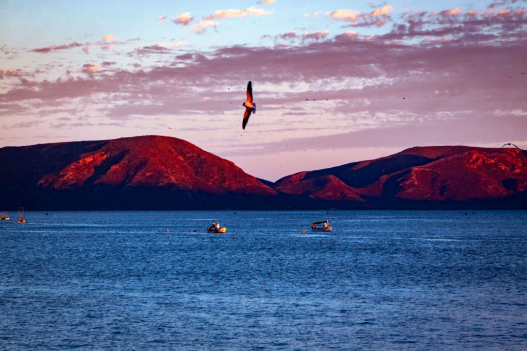 bahía de topolobampo