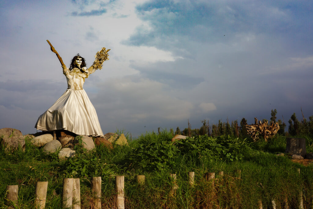 que hacer en Xochimilco