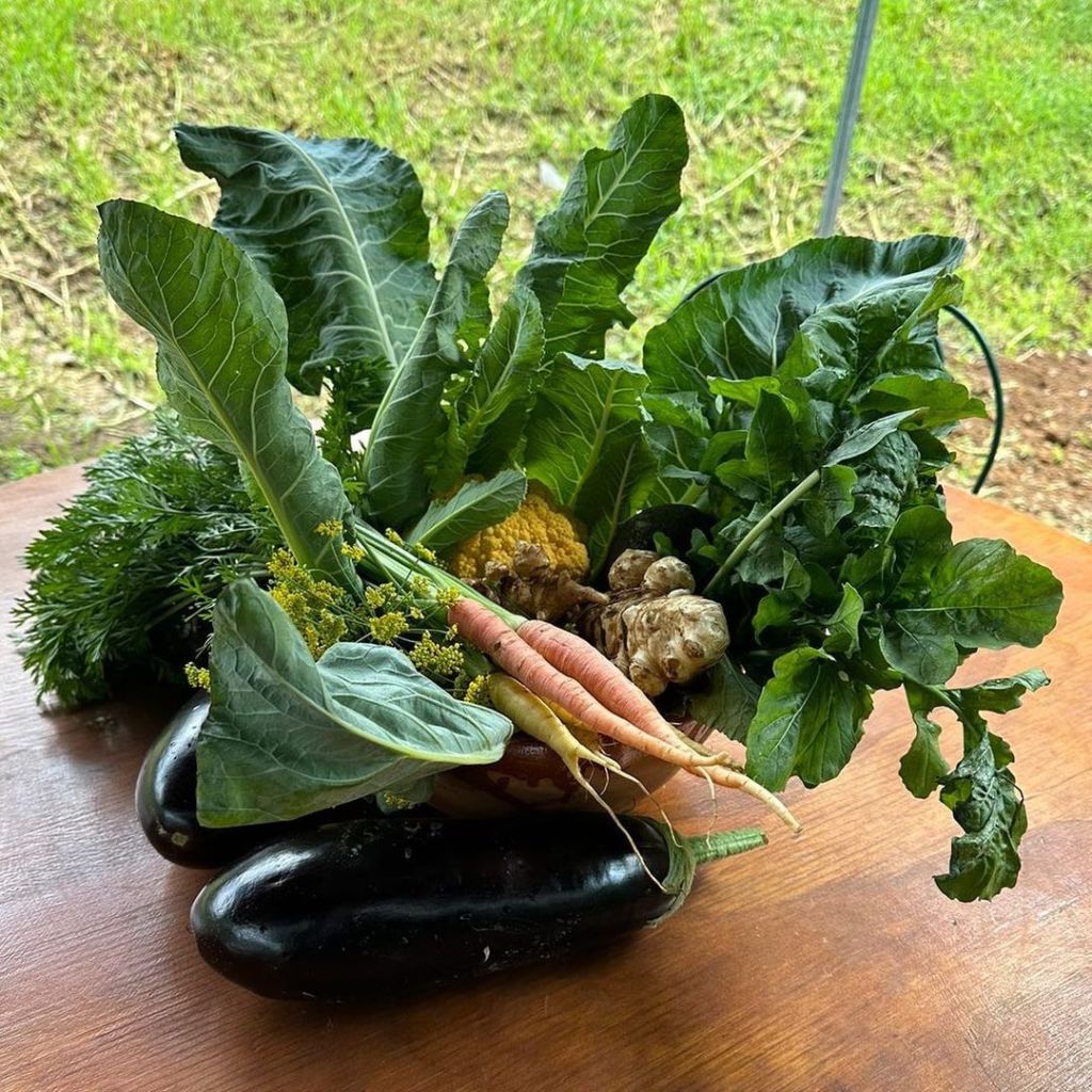 experiencias valle de bravo