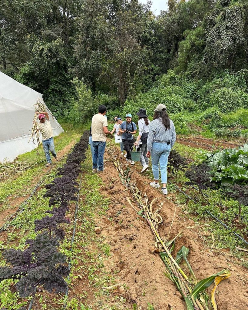 experiencias valle de bravo