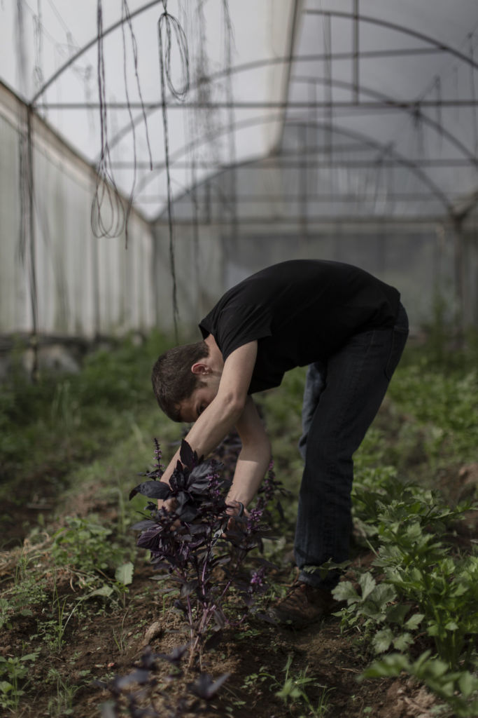 Ya conoces Pujol, ahora te contamos sobre los productores locales que hacen posible su cocina
