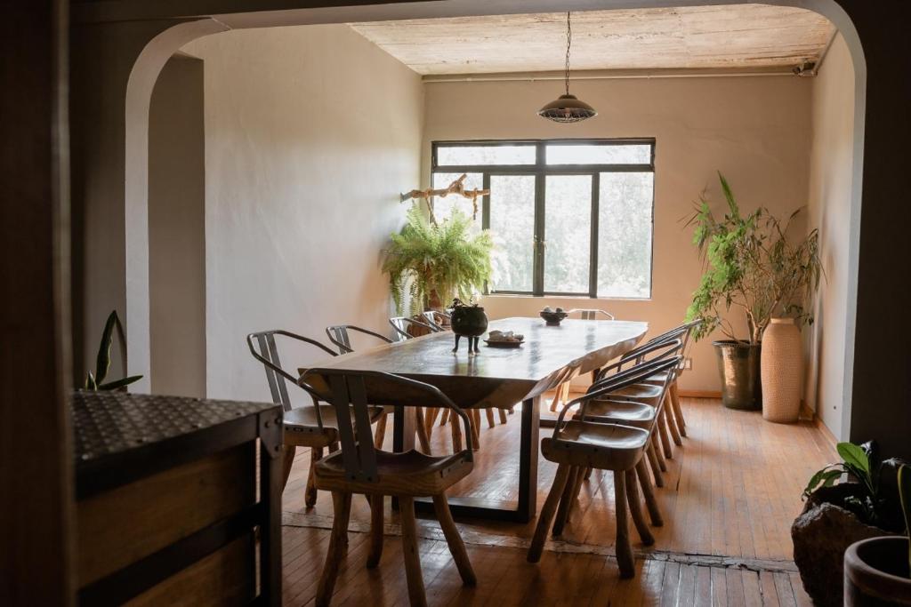 bed and breakfast cdmx