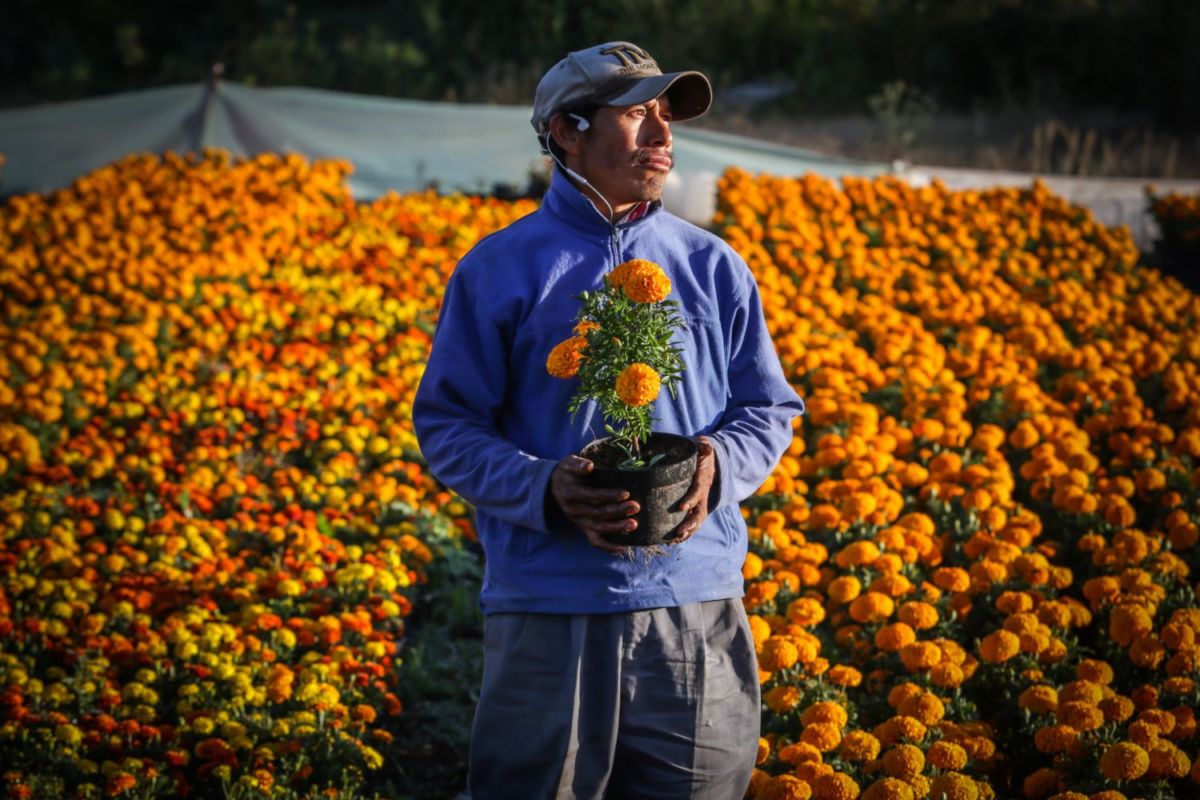 día de muertos Xochimilco