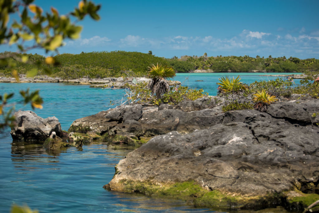 laguna en Riviera Maya 