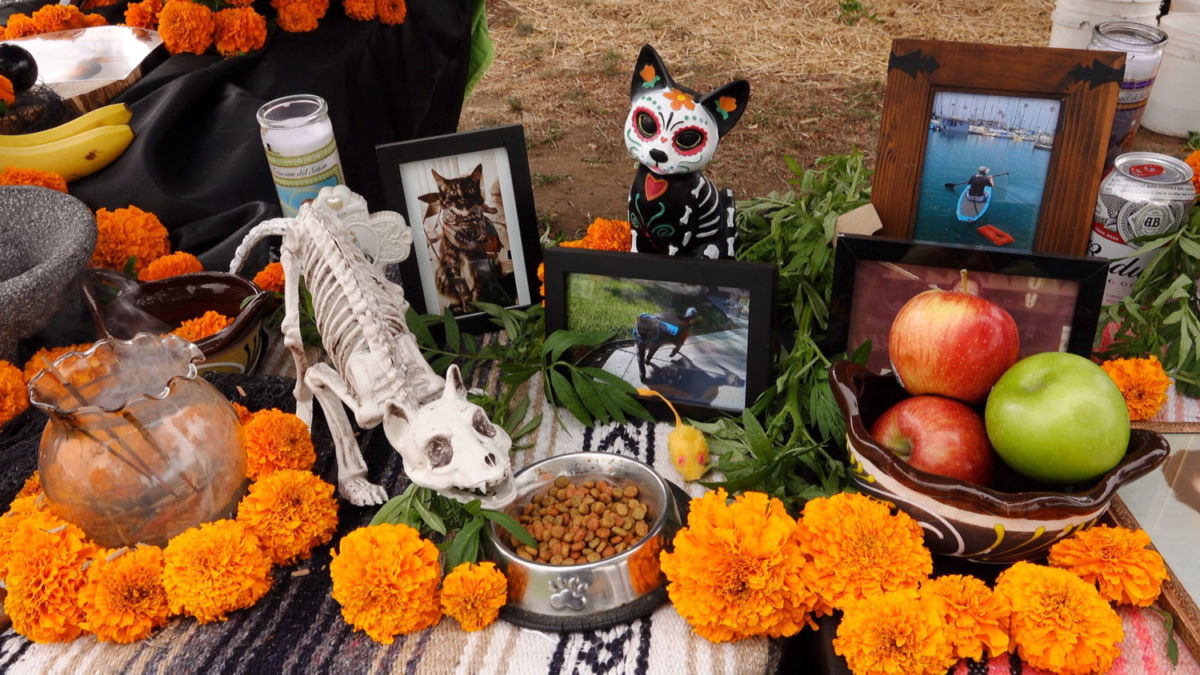 Ofrenda para mascotas Día de Muertos 