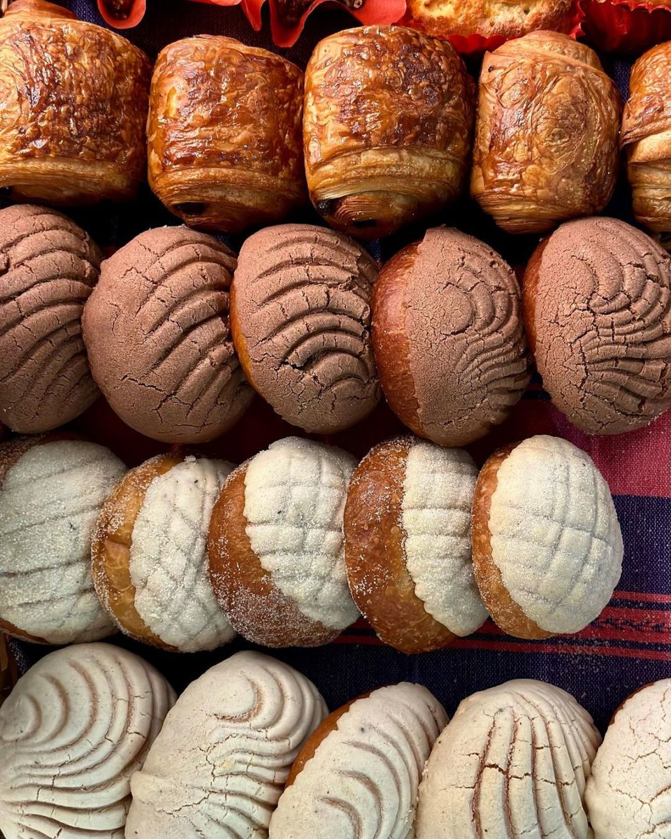 conchas tradicionales