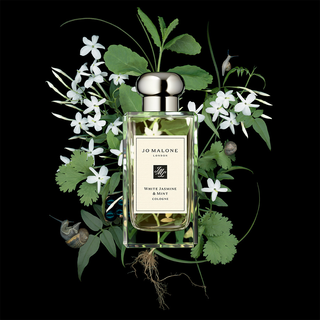 perfumes frescos y elegantes