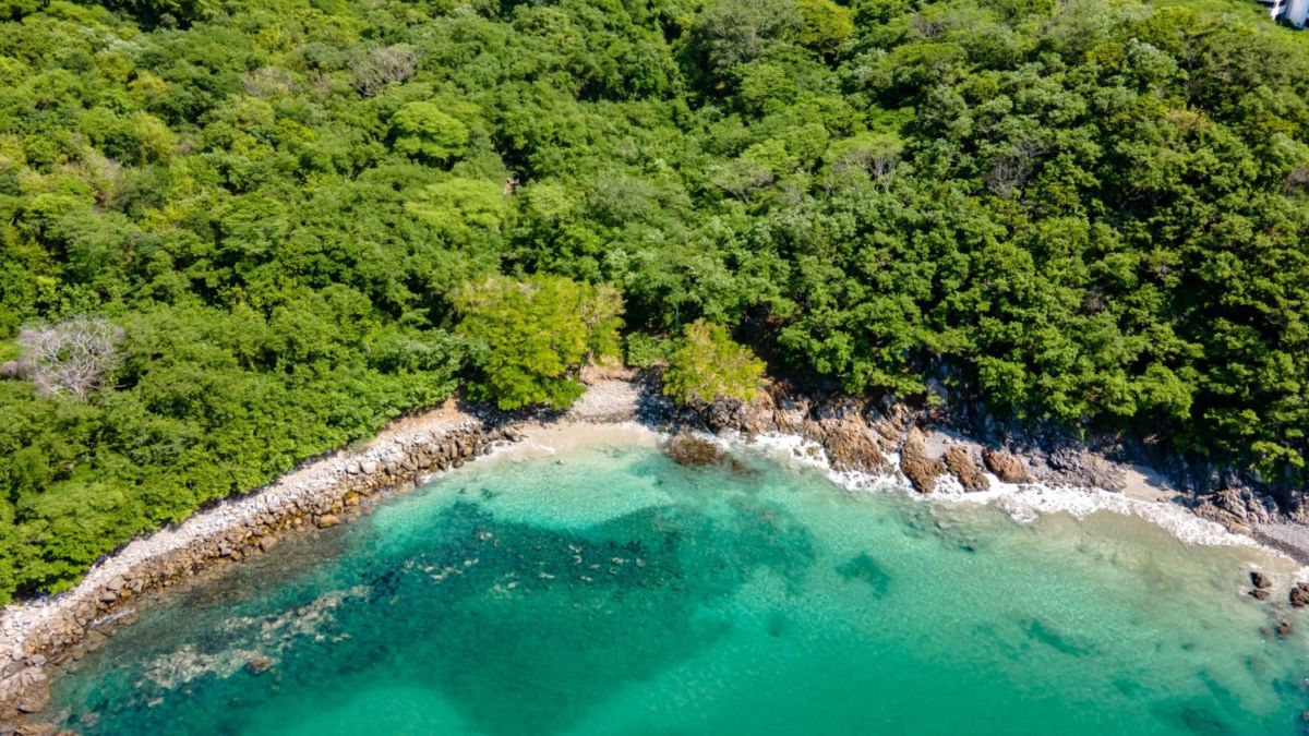 5 playas en Nayarit rodeadas de vegetación tropical (te sentirás en una película)