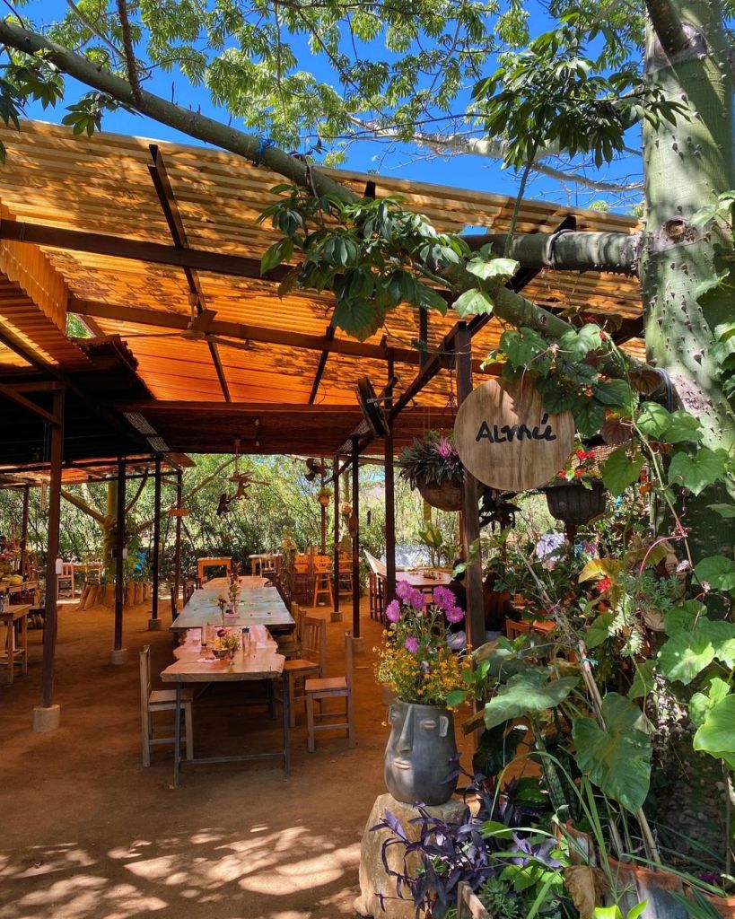 spots para desayunar en Oaxaca 