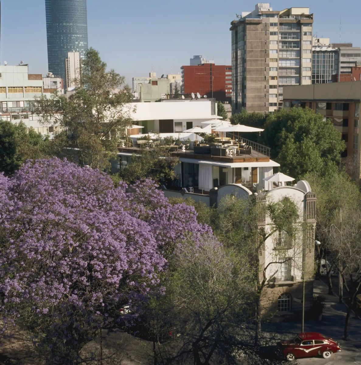 Terrazas románticas cdmx primera cita 