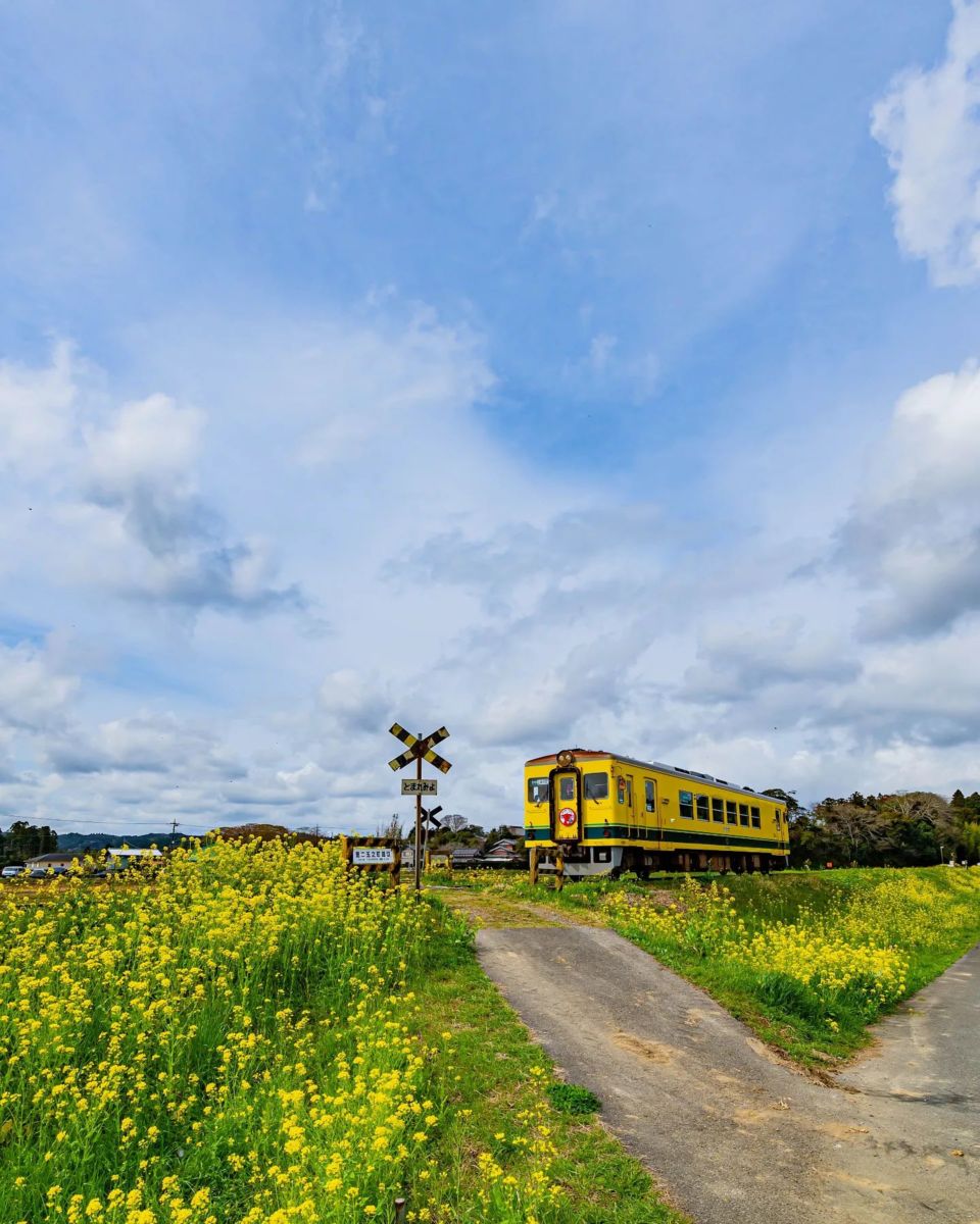 trenes de lujo en el mundo