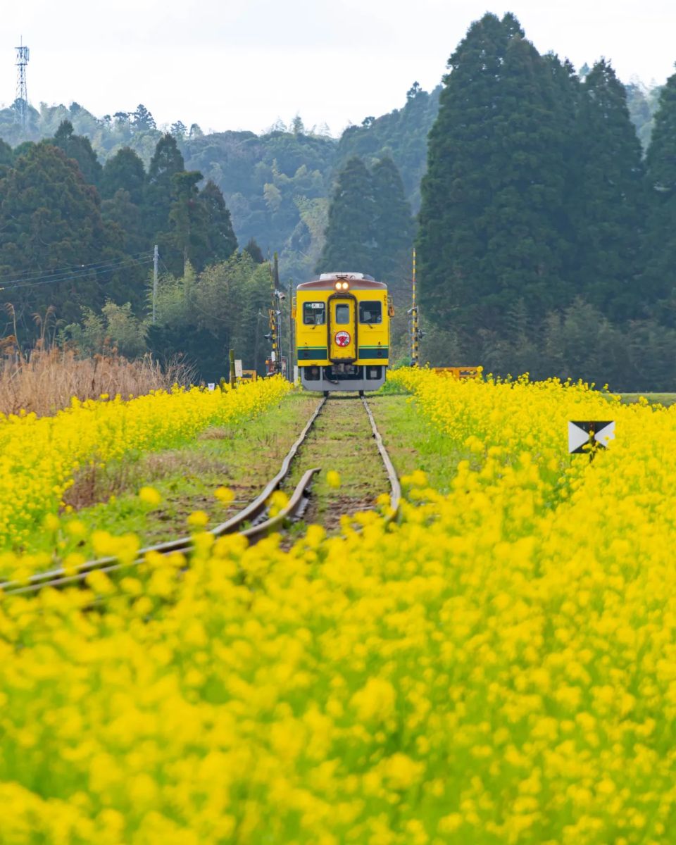 trenes de lujo en Japón