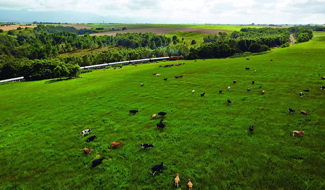 locomotoras de lujo 