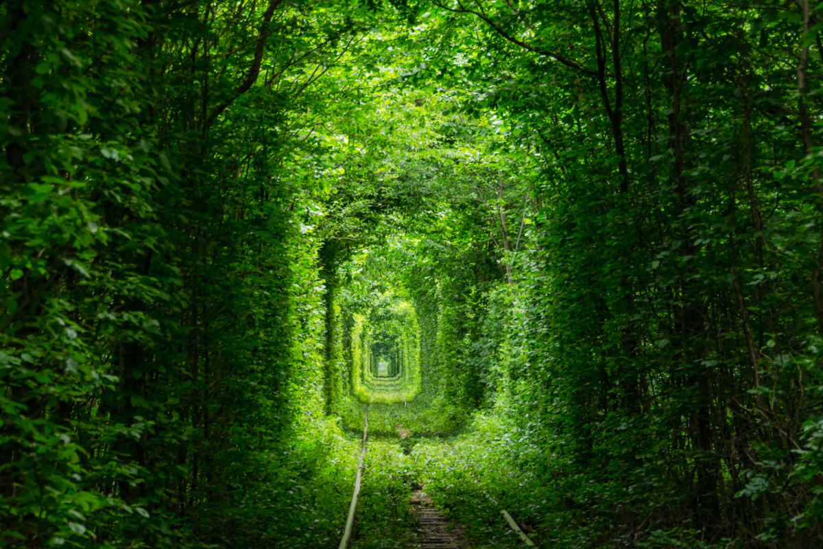 Túnel del Amor Ucrania destino en Europa