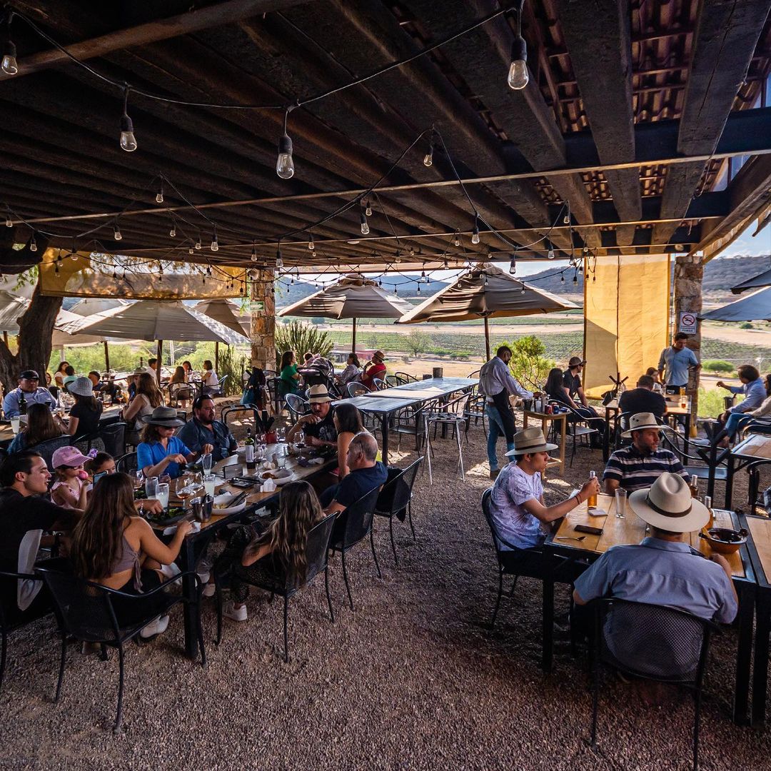 experiencias enológicas en querétaro