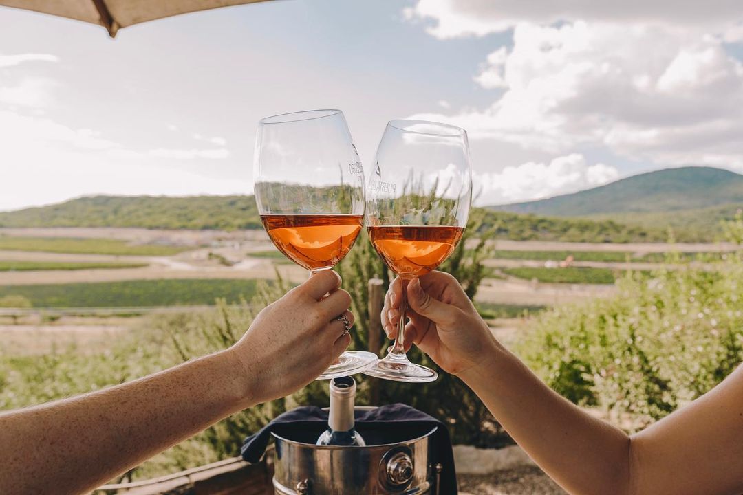 viñedos en querétaro