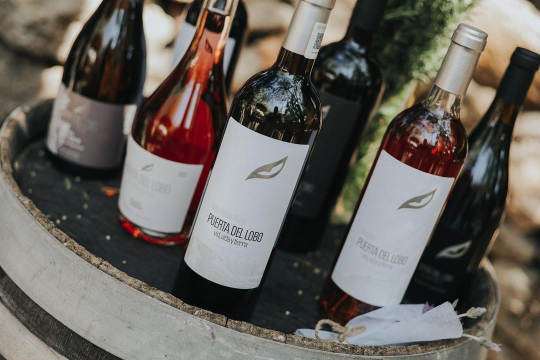 mejores vinos de Querétaro