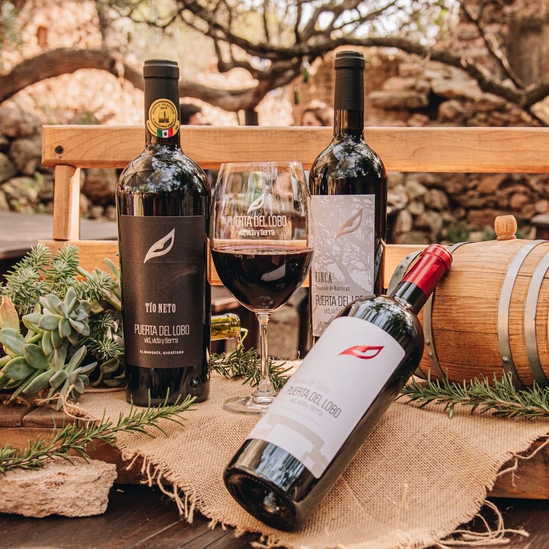 vinos mexicanos