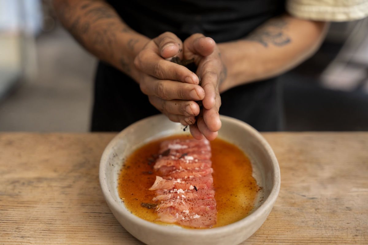 banyan tree valle de guadalupe