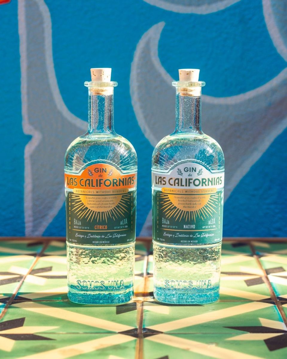 mejores gins mexicanos