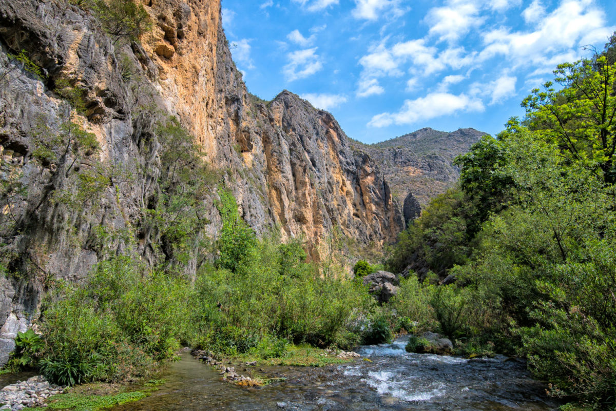 Matacanes: el destino favorito para practicar cañonismo a las afueras de Monterrey