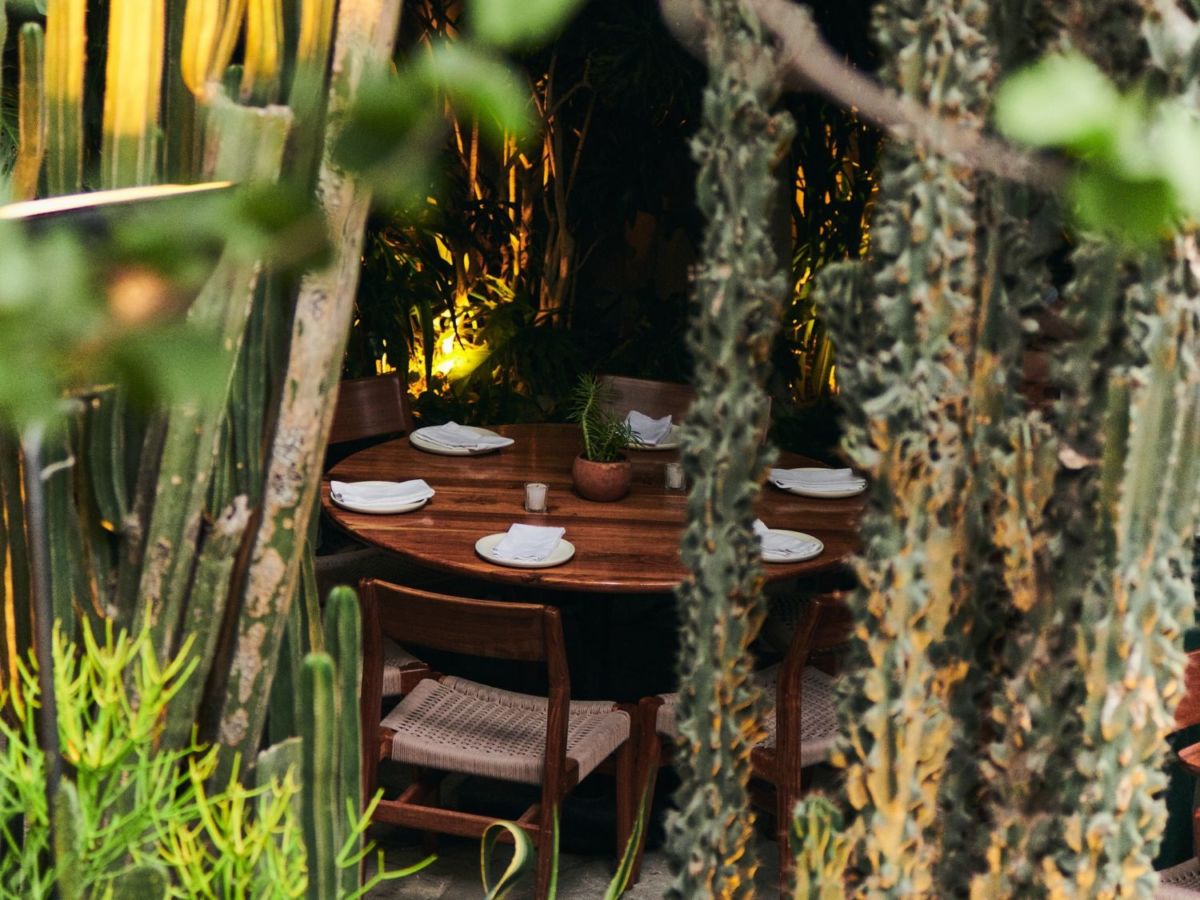 restaurantes bonitos cdmx