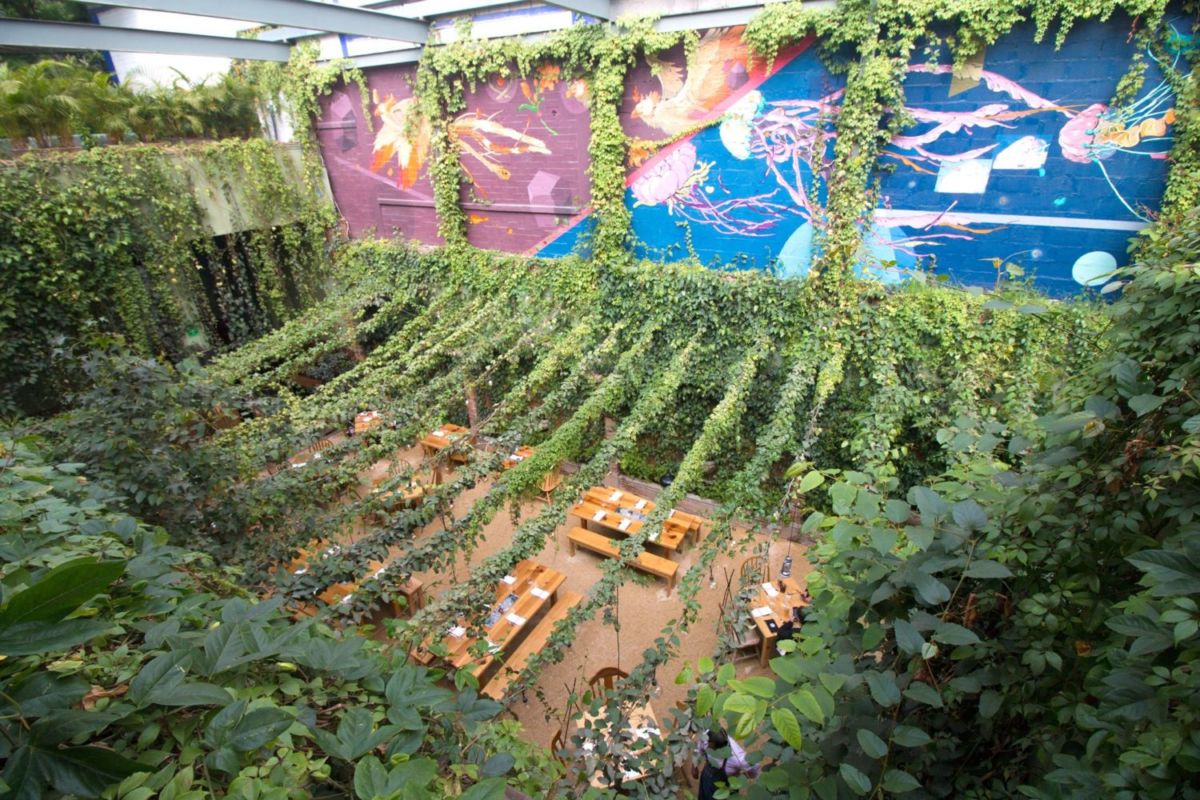 cocina campestre cdmx