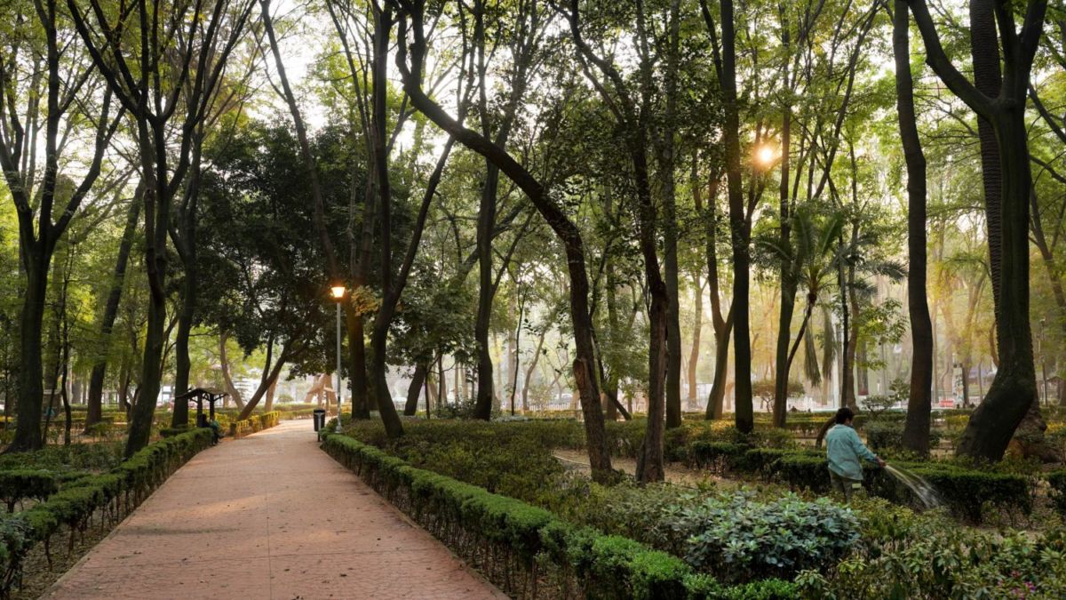 parques bonitos cdmx