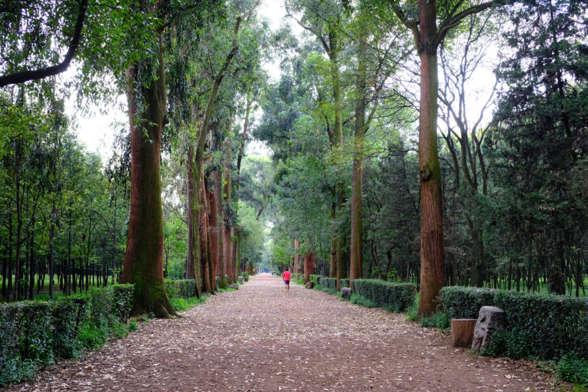 parques colonias cdmx