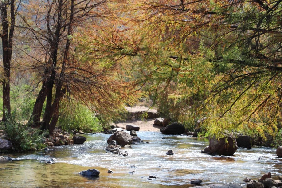 Cuquío: las aguas termales más profundas (y bonitas) en Jalisco
