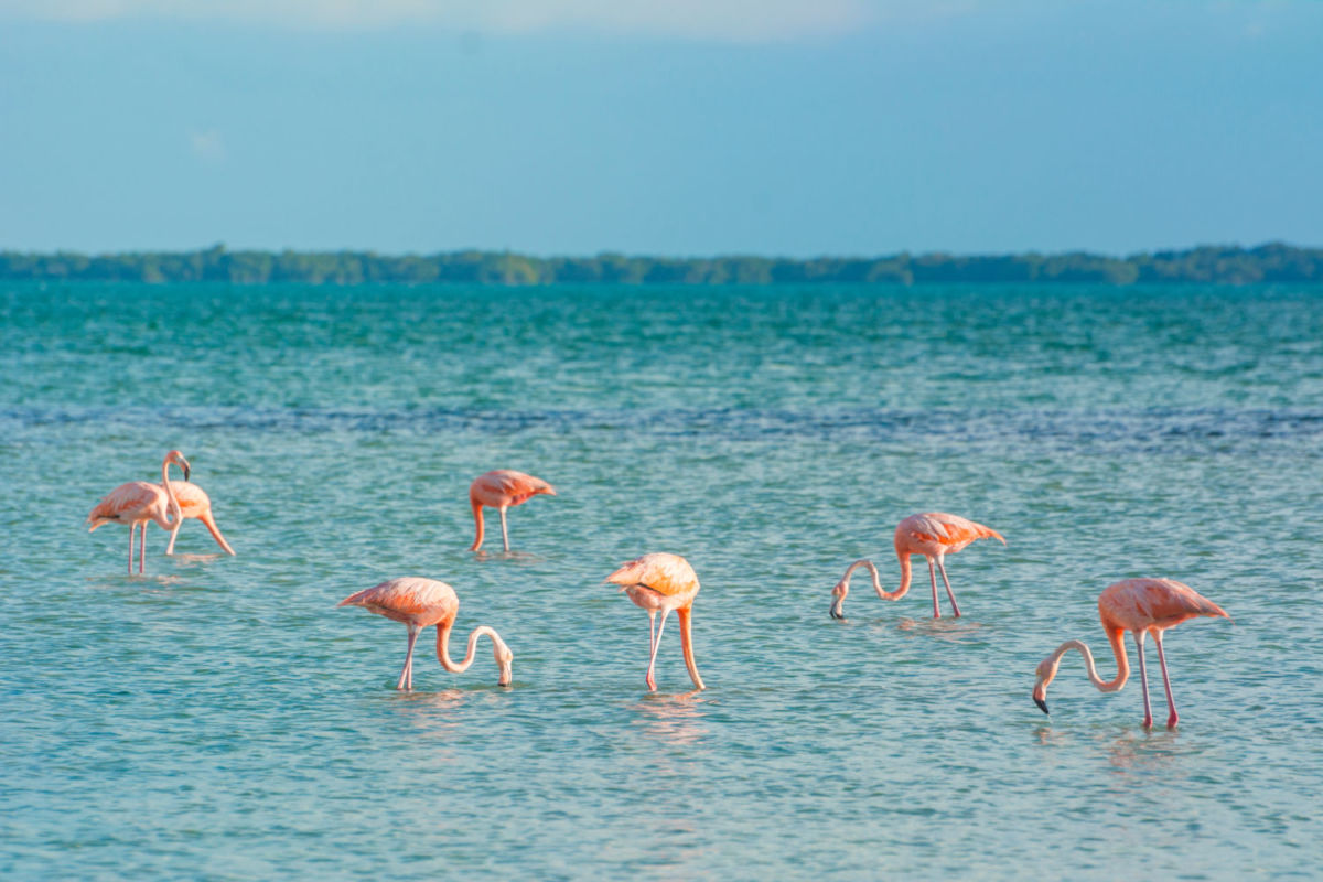 atractivos naturales de México
