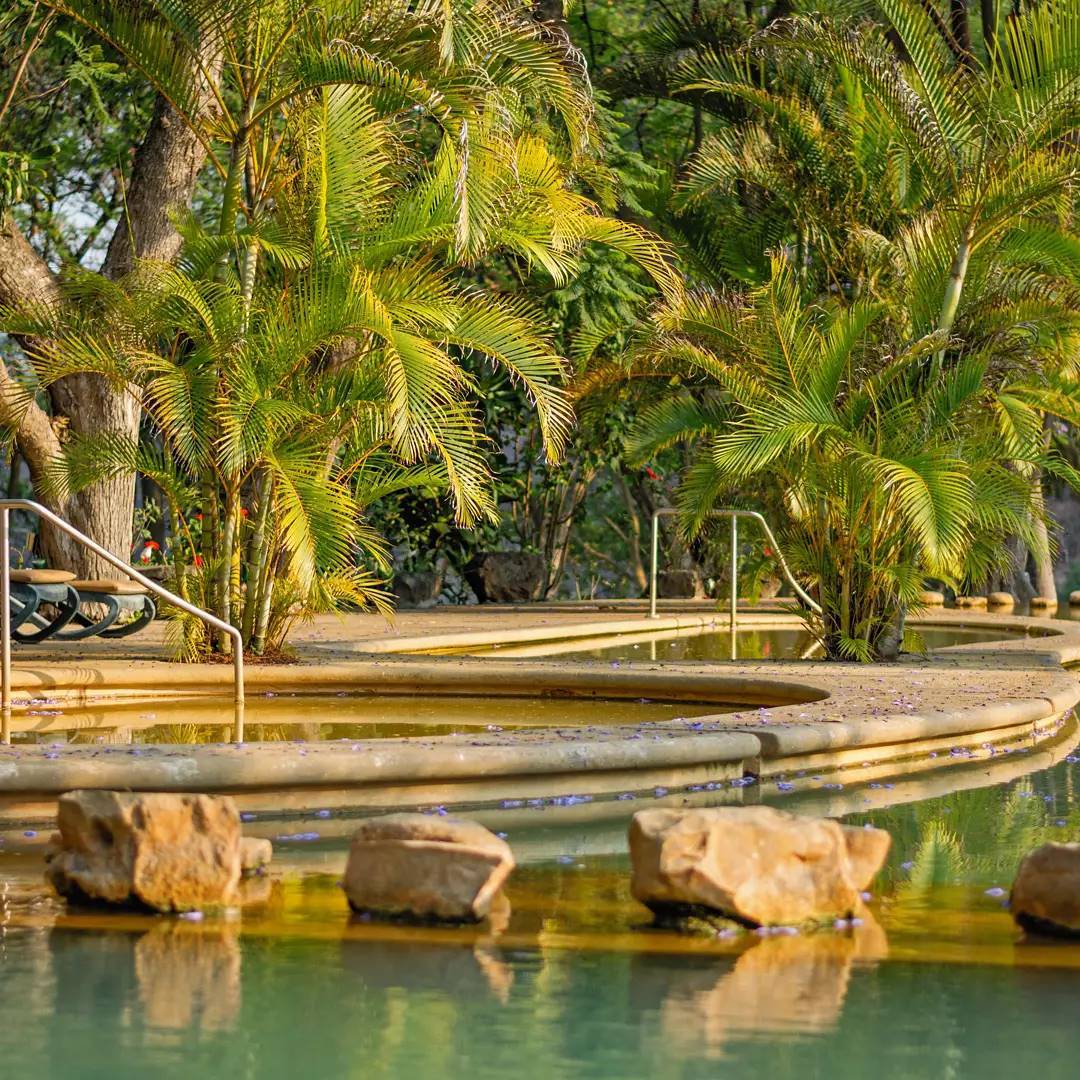 experiencias relajantes cerca de la cdmx