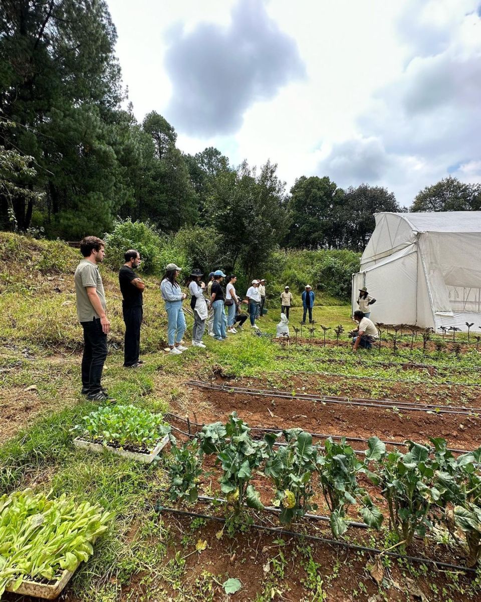 experiencias sustentabilidad cerca de cdmx