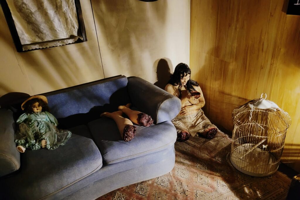 exposición de brujas