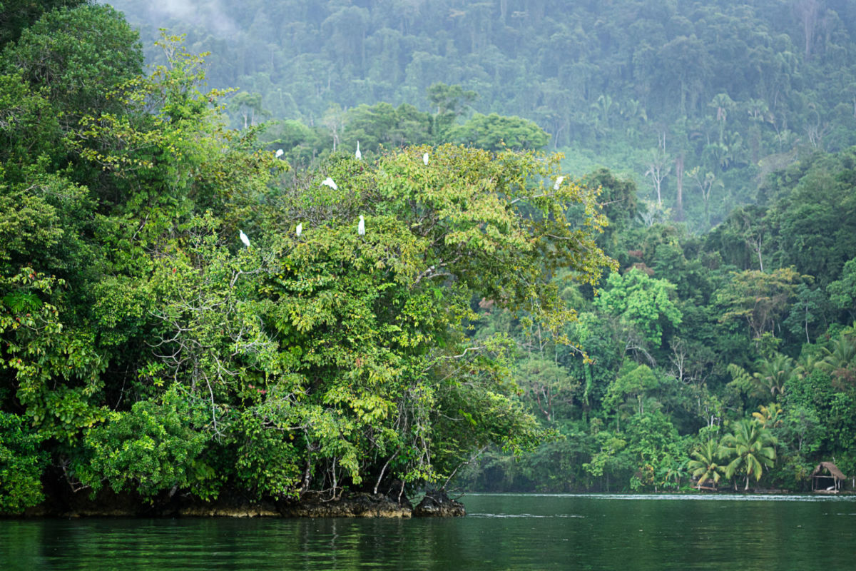 Río Dulce Guatemala