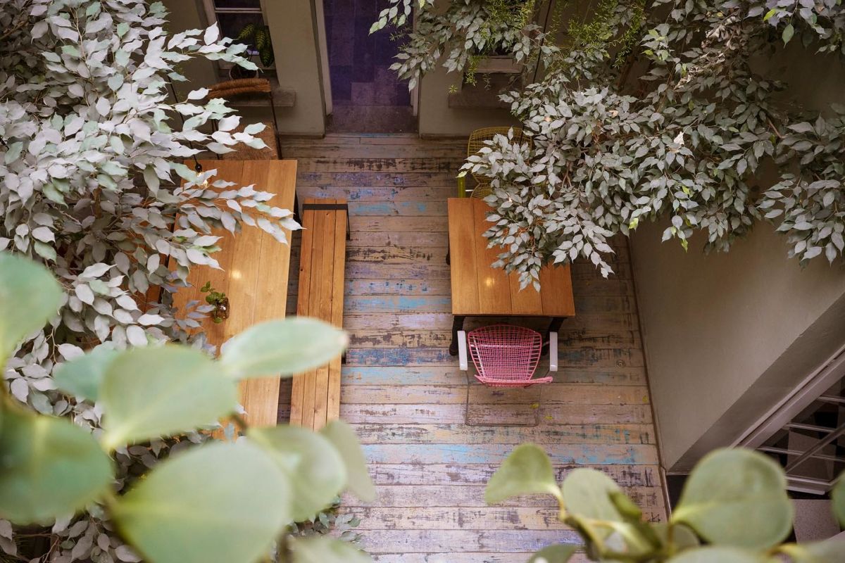 hotel ecológico cdmx