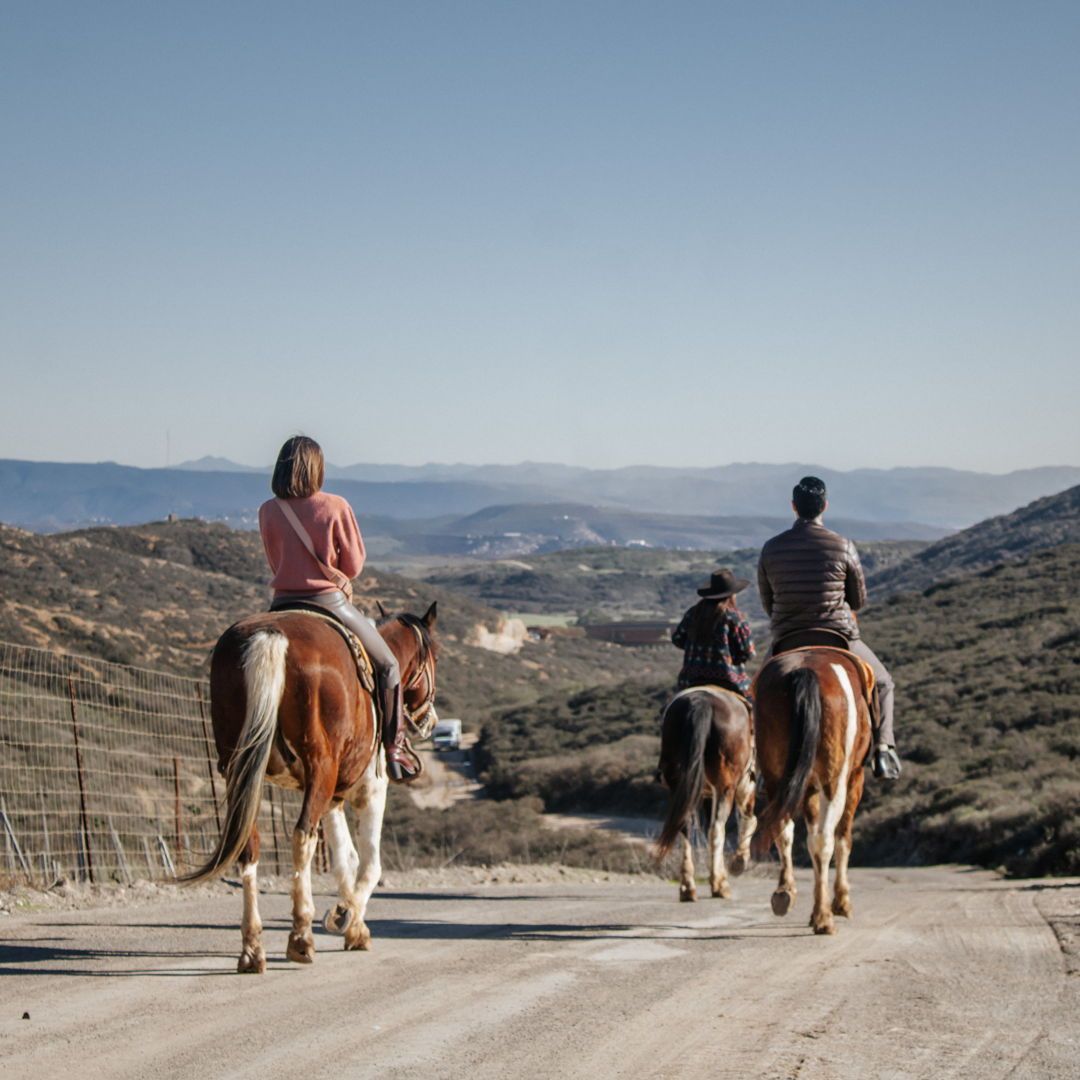 estadía en Ensenada