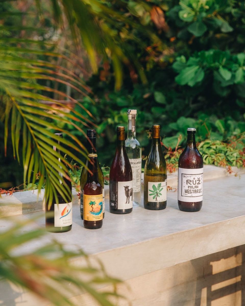 vinos naturales en zicatela