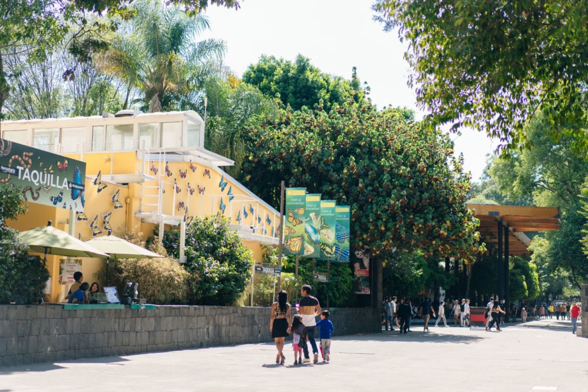 Mariposario del Bosque de Chapultepec