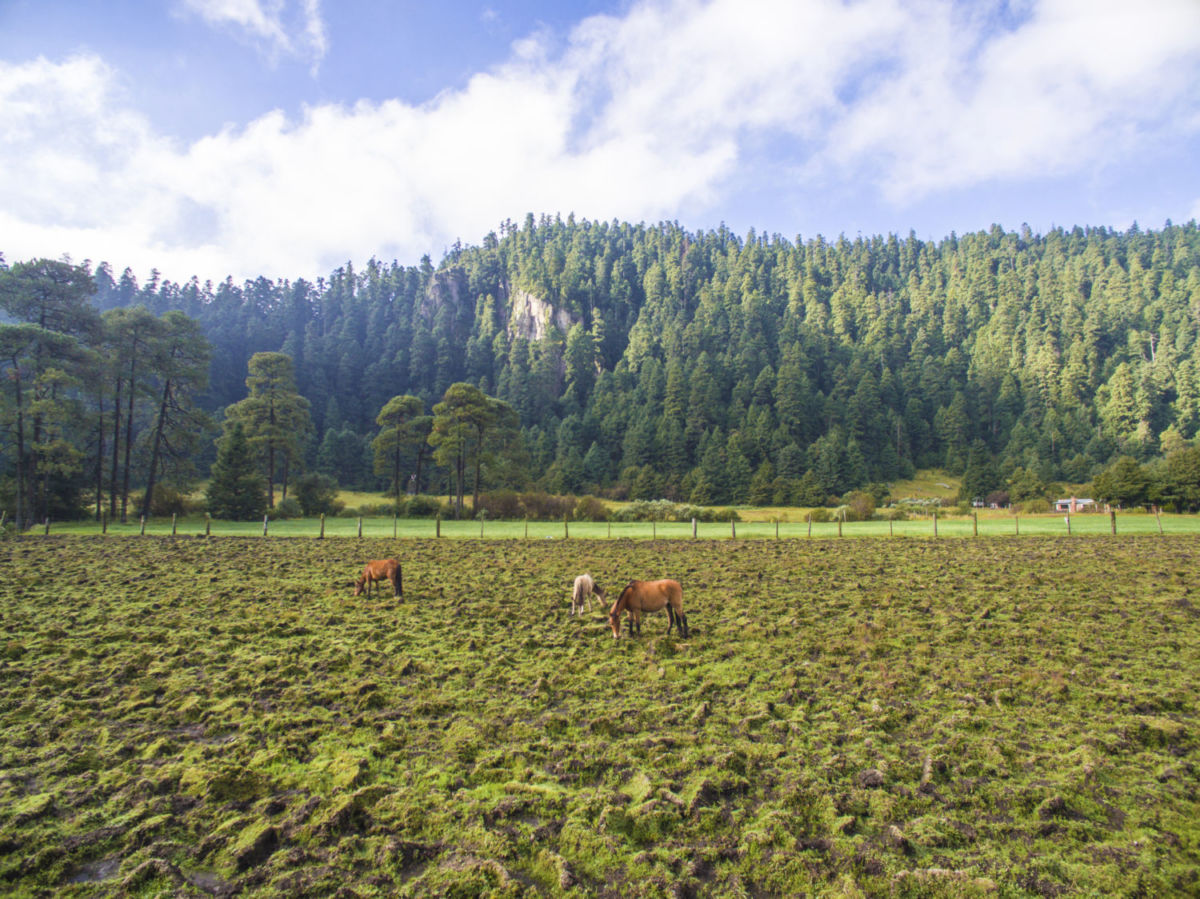 destinos para visitar con tu esposo