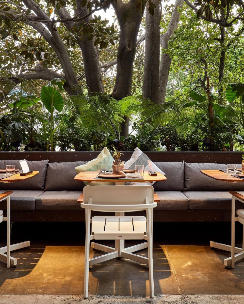 las mejores conchas en cdmx
