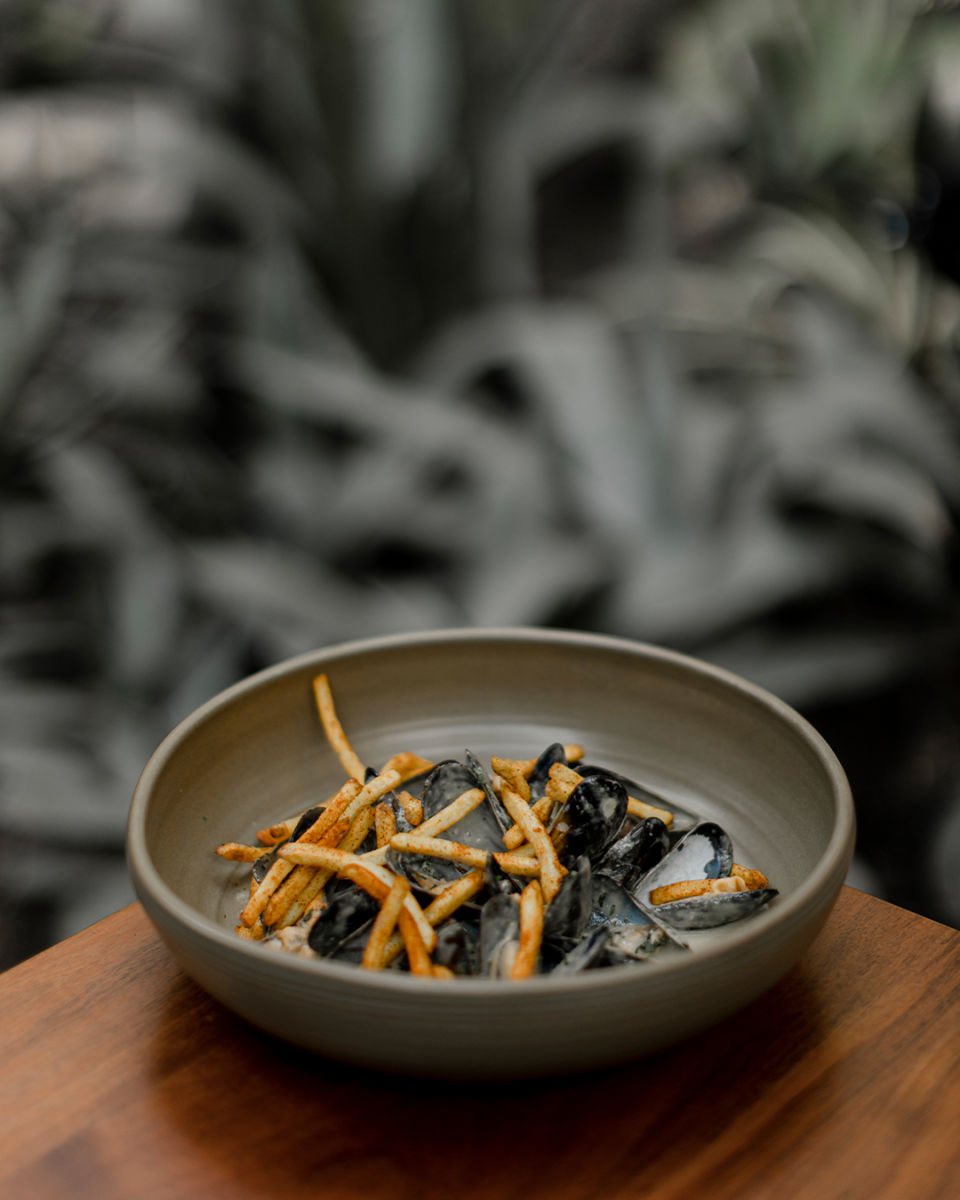 restaurantes condesa