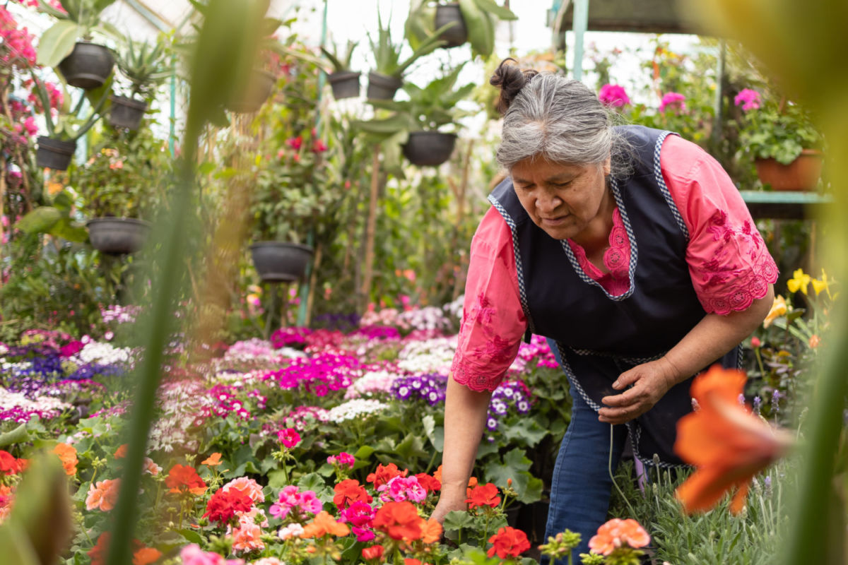 que hacer en xochimilco