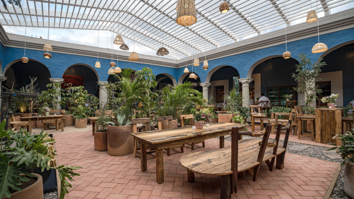 exhibición de mezcal