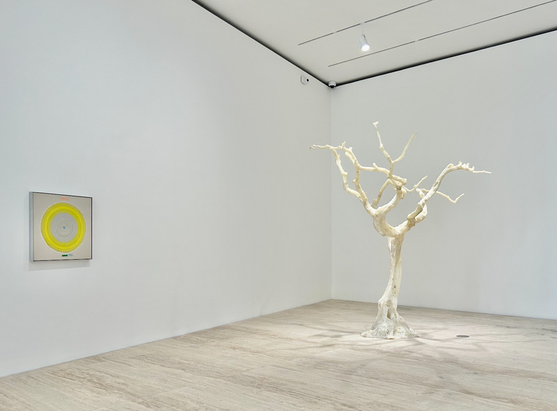 Colección Jumex Todo se vuelve más ligero